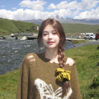 宝莱坞之舞力全开2